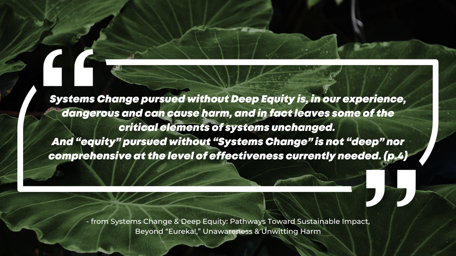 Systems Change pursued without Deep Equity is, in our experience, dangerous and can cause harm, and in fact leaves some of the critical elements of systems unchanged. And “equity” pursued without “Systems Change” is not “deep” nor comprehensive at the level of effectiveness currently needed. (p.4)
