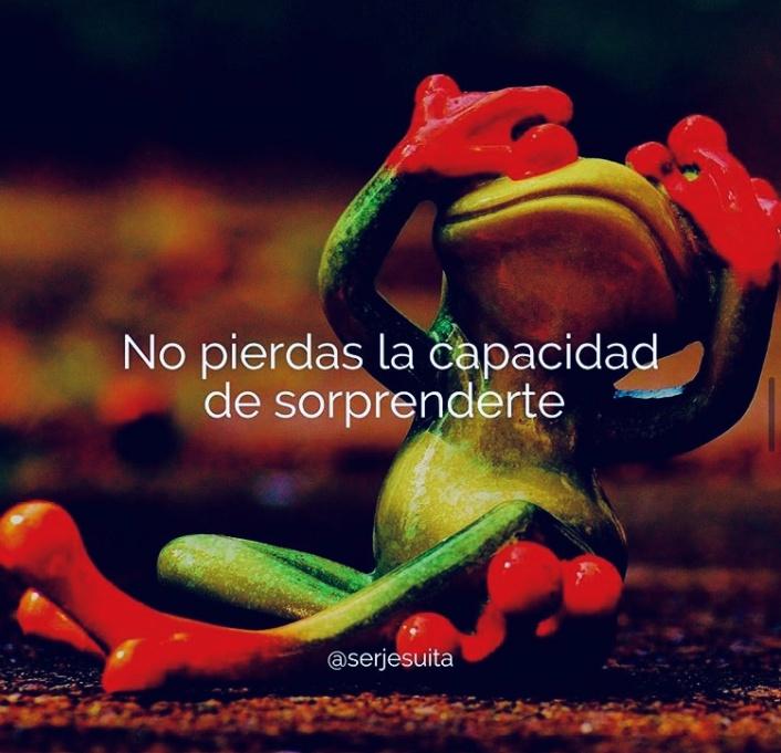 C:\Users\rocio\Downloads\11-10 imagen.jpg