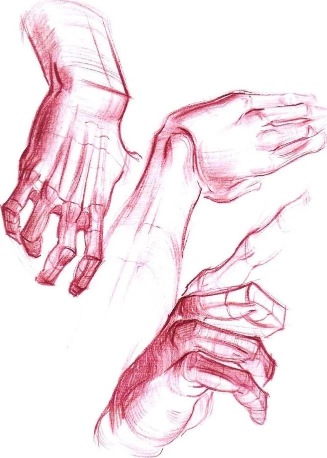 https://lh6.googleusercontent.com/G7524nA85jQnXNCSYmIB4G3_T6titglKWI6cFysiIGuM0zO1UkGgp3G9j5weP3l1OMHOORt2aJck6h5C48IEtYWBbhVgJLUVZQIaRZMc8bM0Wb2AlS-0qdW2UTlwRpDSefDlyphKg5pF70Mu9kAn