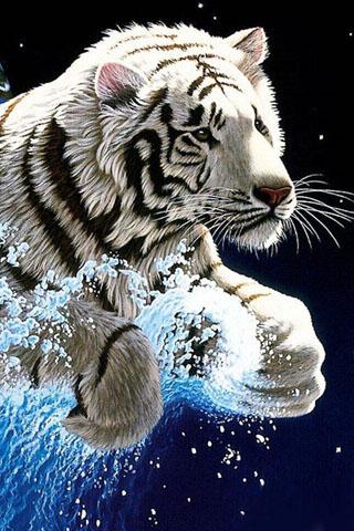 Download 3D Tiger apk