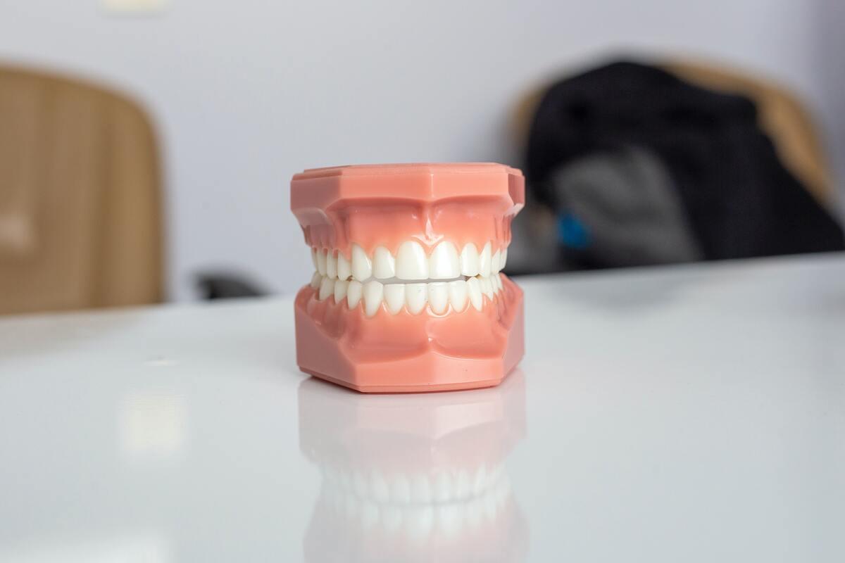 mouth 3d model for dental presentation.jpg
