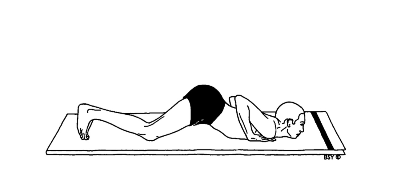 Sun Salutation Step 6 in yoga for obesity. The image shows the sixth step in the Sun Salutation (Surya Namaskar) sequence.