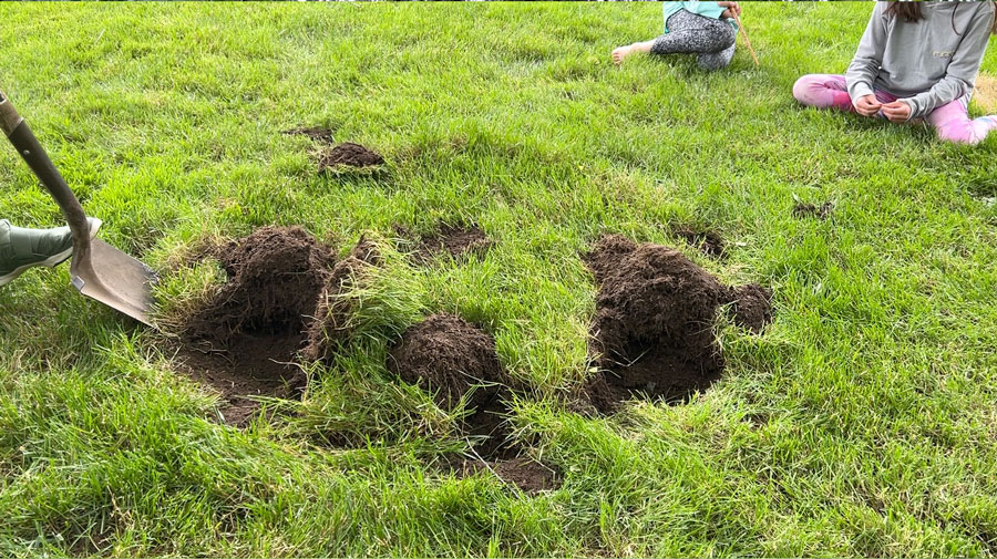 Digging up sod