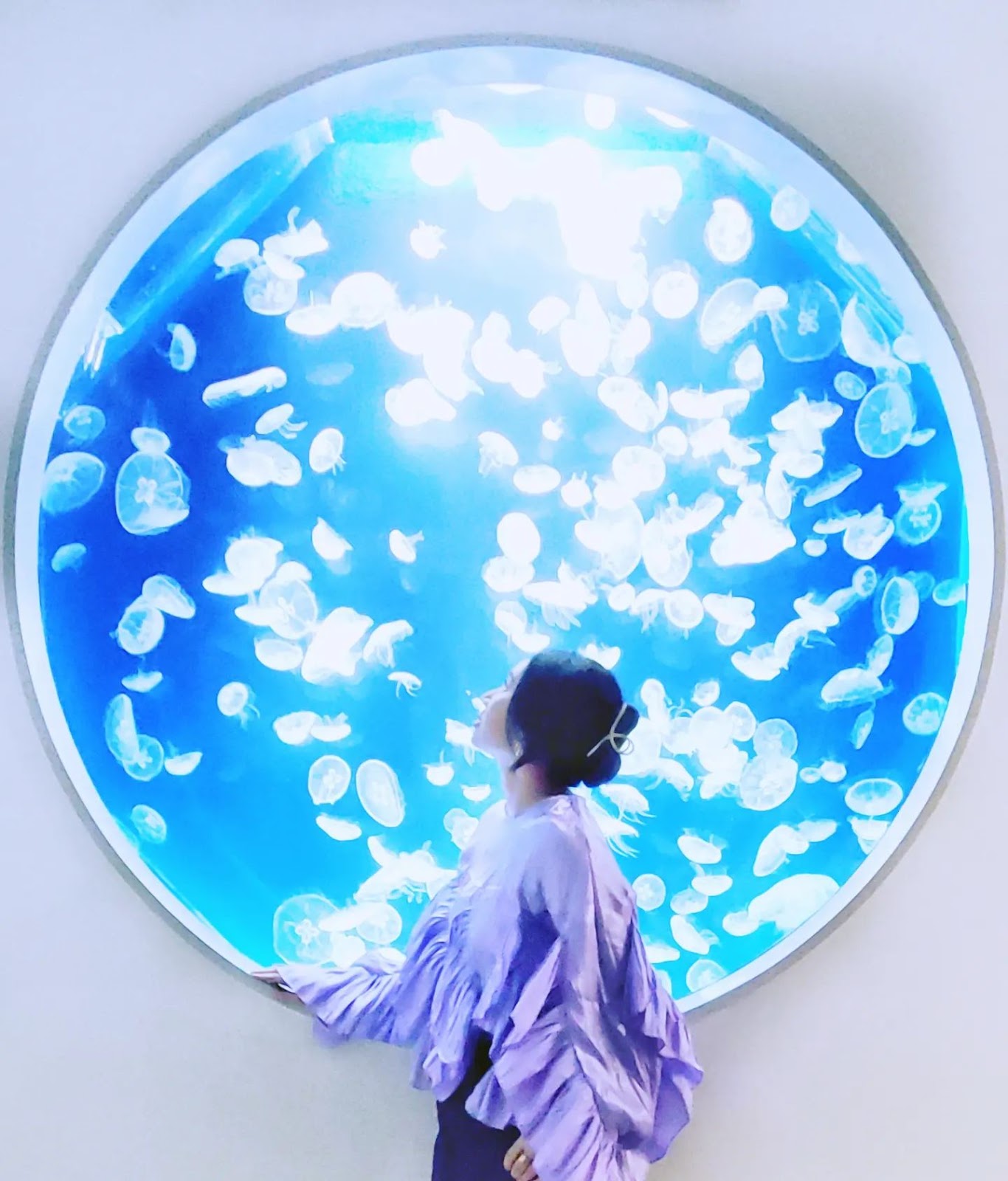 Photo by Alison Chien on September 17, 2023. May be an image of 1 person and aquarium.