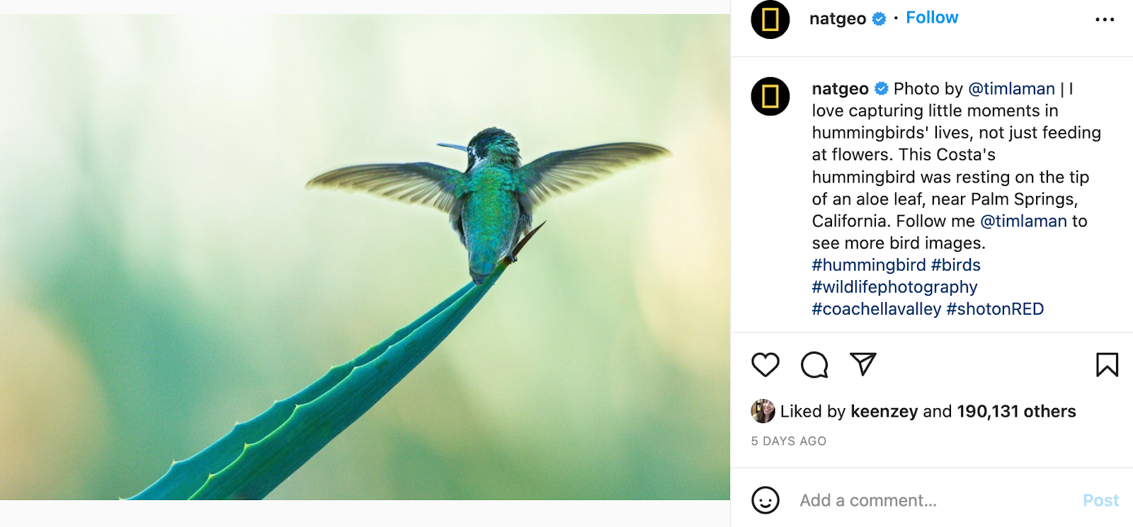 screenshot of user generated content from national geographic's instagram