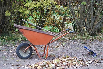 https://p0.pikrepo.com/preview/642/985/brown-and-black-wheelbarrow-near-green-leaf-plants-during-daytime-thumbnail.jpg