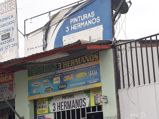 PINTURAS 3 HERMANOS