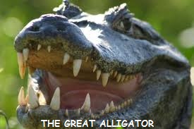 great-alligator