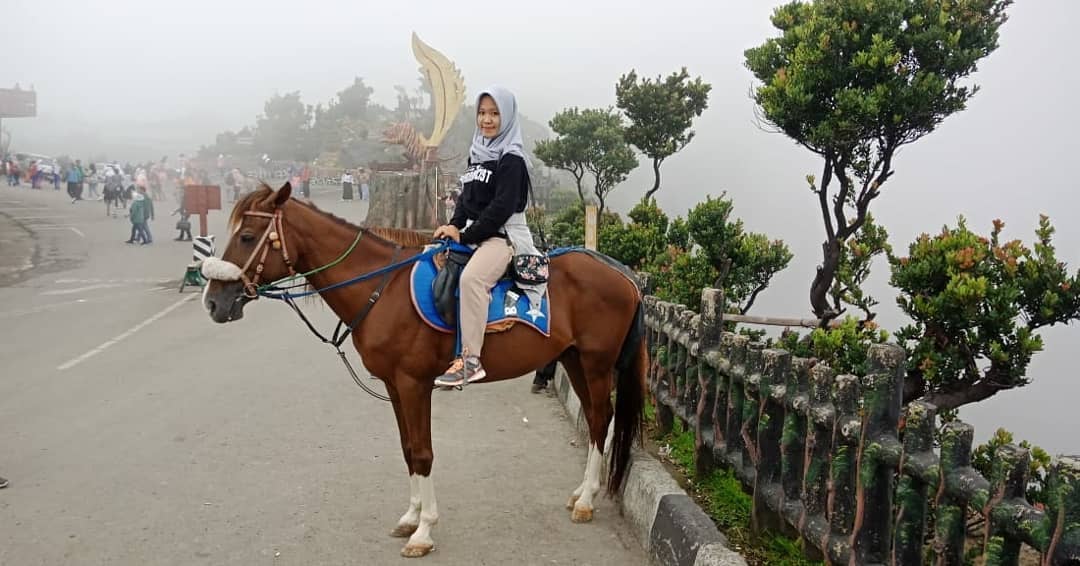 gunung tangkuban perahu naik kuda