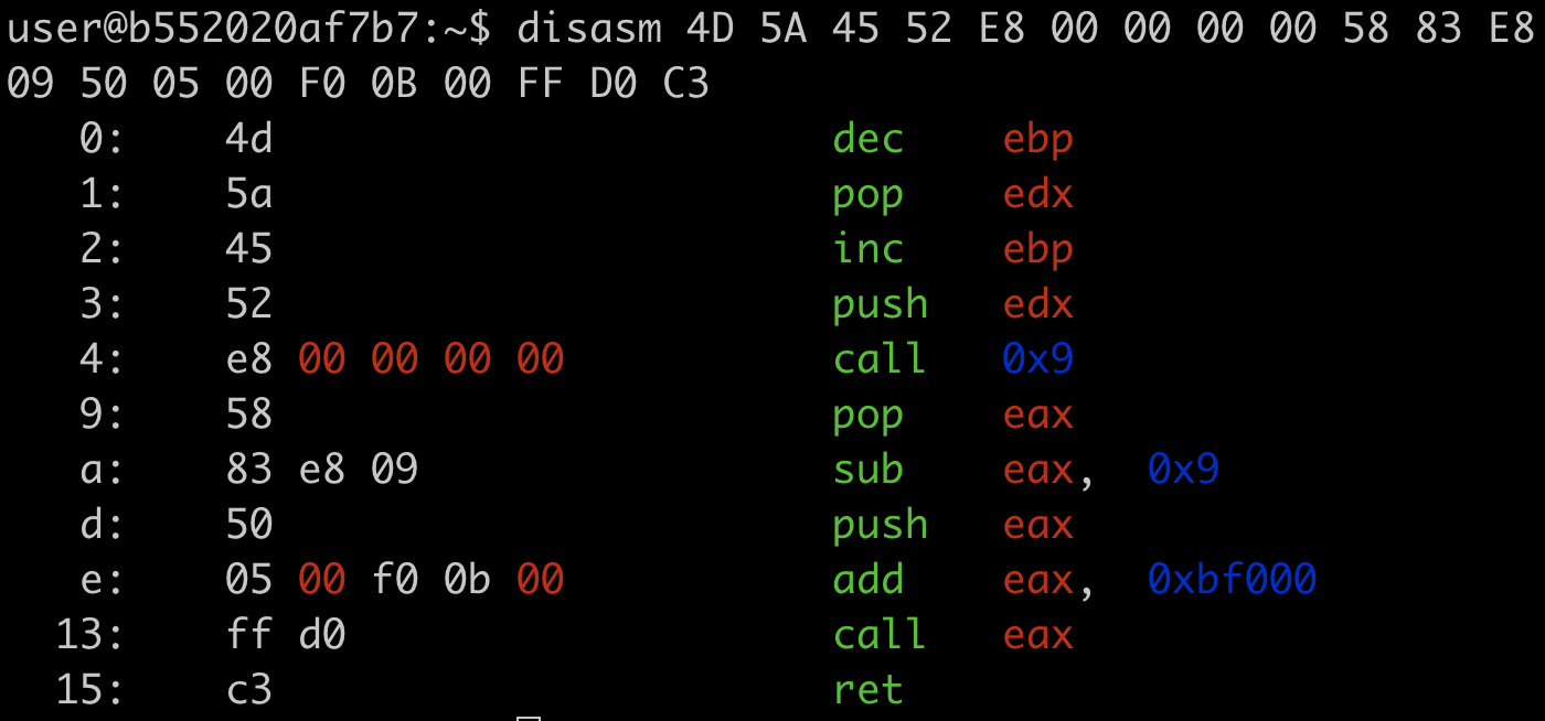  Disassembling the PE header