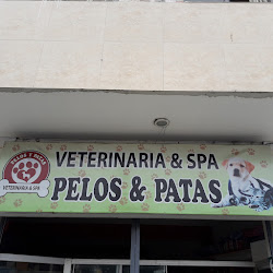 Pelos & Patas