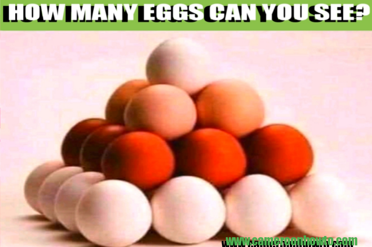 How many eggs can you see ( 95% failed  picture Puzzle answer)