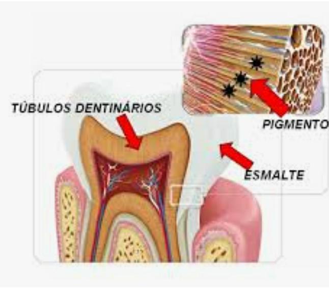 Diagrama

Descrição gerada automaticamente