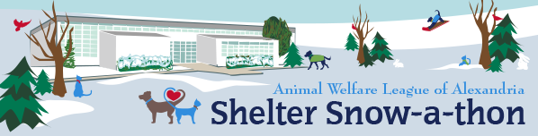 Shelter Snow-a-thon