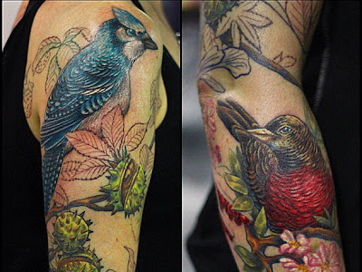 ++ 50 ++ realistic blue jay tattoo black and white 256724