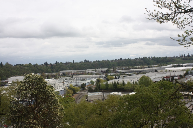 IMG_8580 (800x533).jpg