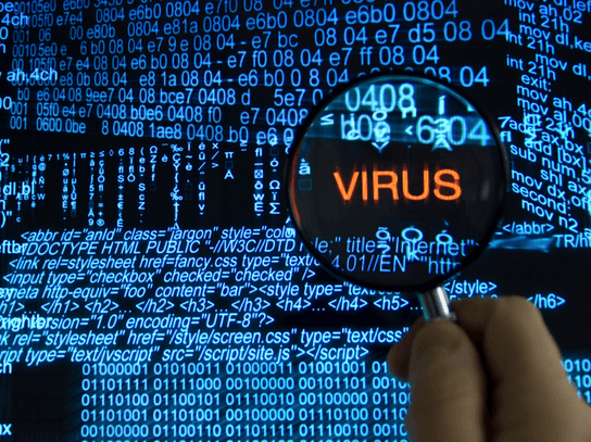 Learn everything about Trojans, Viruses and Worms