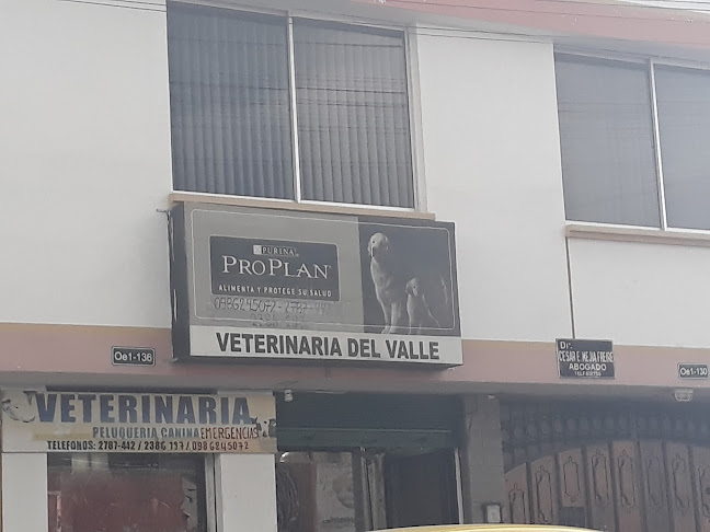 Opiniones de Veterinaria Del Valle en Quito - Veterinario