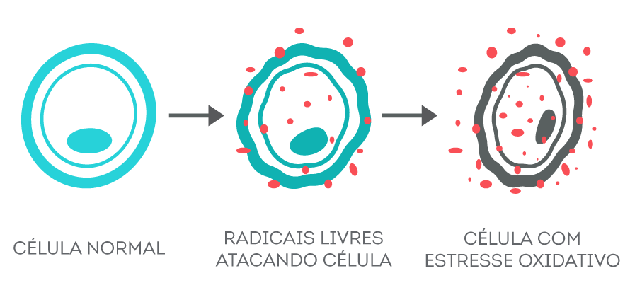 Radicais livres: o que são, como se formam e como se defender deles