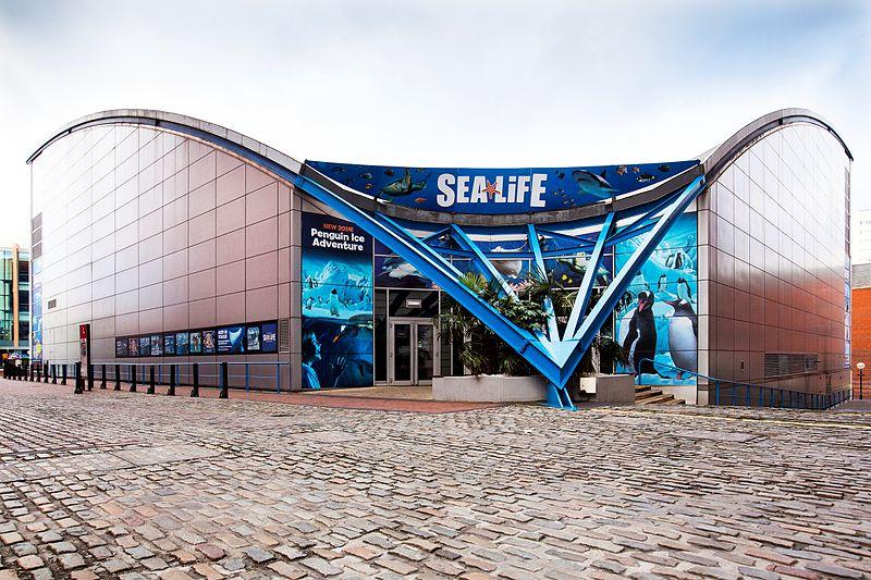 File:The National SEA LIFE Centre Birmingham.jpeg