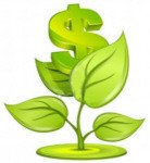 dolares