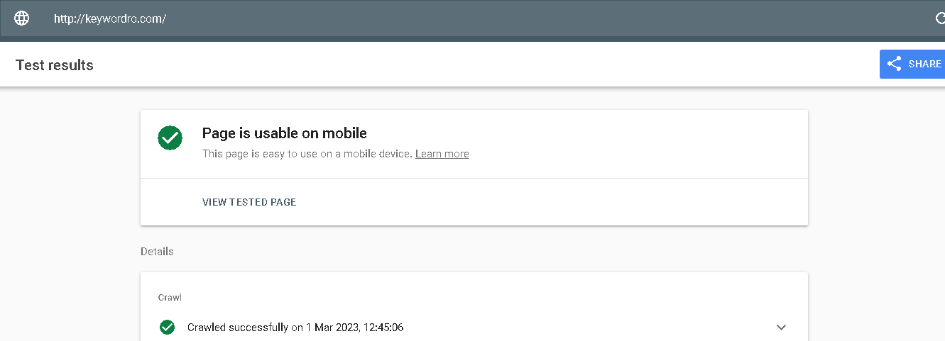 Google mobile friendly test results