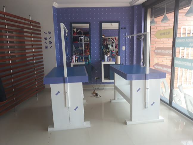 Opiniones de Dog's Club en Cuenca - Veterinario