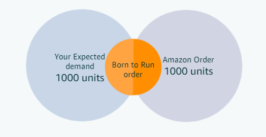 Everything You Need To Know About Amazon Vendor Born To Run Program BellaVix