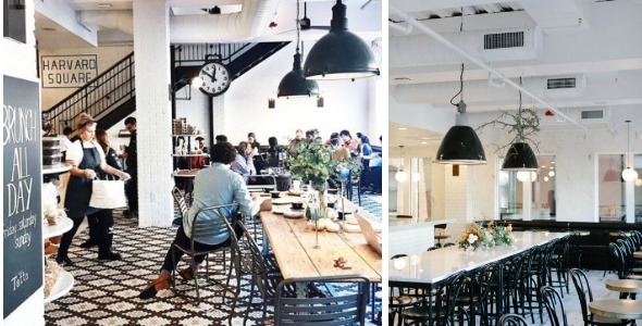 Image result for tatte bakery