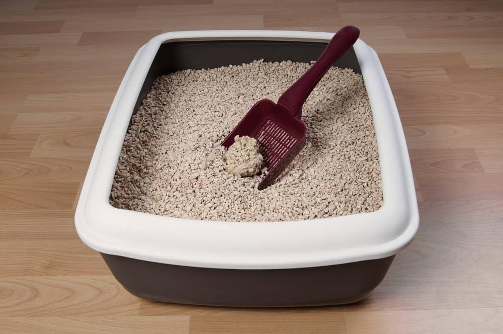 Cat litter box filled with wood chips cat litter with red scoop on wooden flooring.