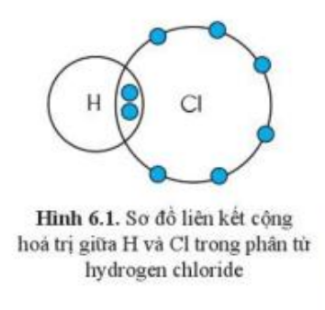 Câu hỏi trang 39 SGK TN&XH 7 CD tập 1