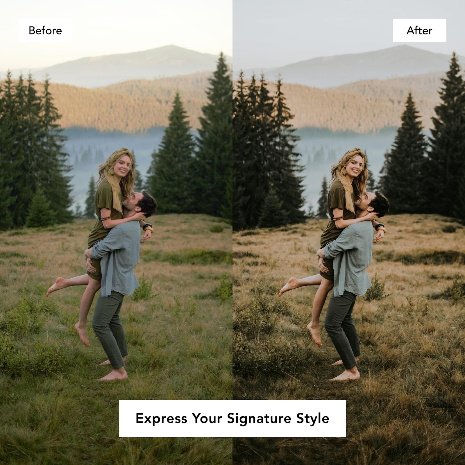 moody flourish presets cover grid before after