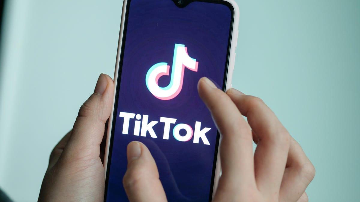 TikTok: Why The Enormous Success?