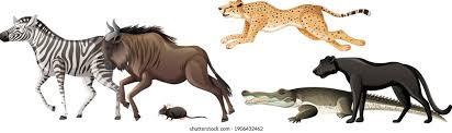 Animal Movement Images, Stock Photos & Vectors | Shutterstock