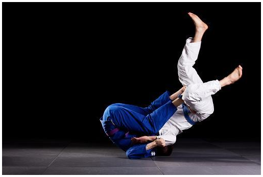 Japanese Martial Arts | Judo