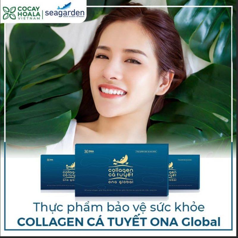http://collagencatuyet.vn/wp-content/uploads/2020/11/Collagen-ca-tuyet-801x800.jpg