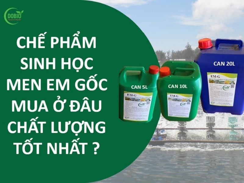 Tác dụng chế phẩm sinh học EM trong nuôi trồng thuỷ sản