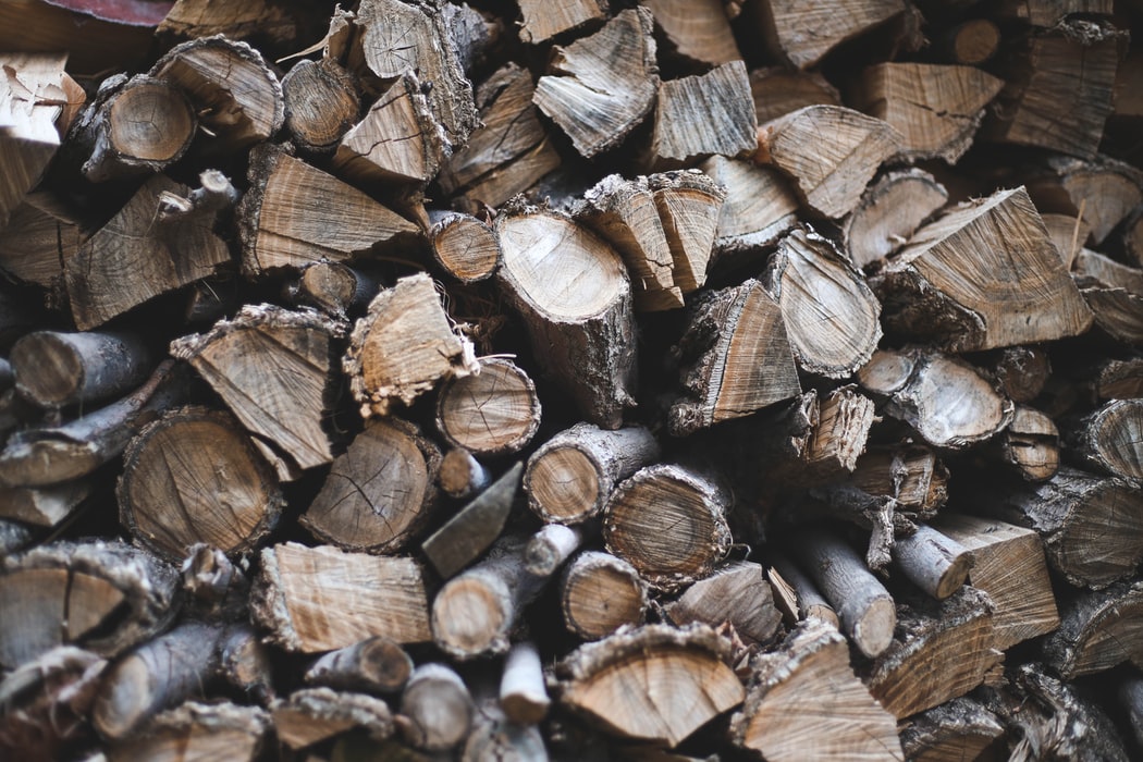 Holzspalter worauf muss man achten? (6 Tipps)