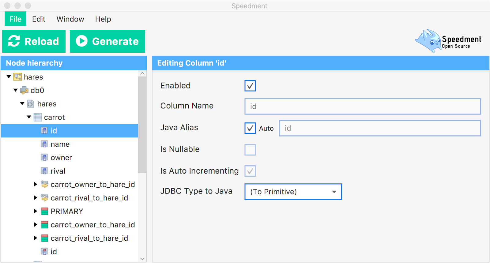 Screenshot of the Speedment Open Source Tool