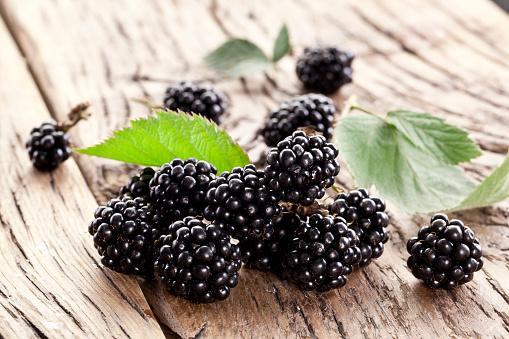 https://media.istockphoto.com/photos/blackberries-with-leaves-picture-id1136393622?b=1&k=6&m=1136393622&s=170667a&w=0&h=moVZe5_gErfraSuunGzGCDppucKyobtfrGUVY9m1-Z0=