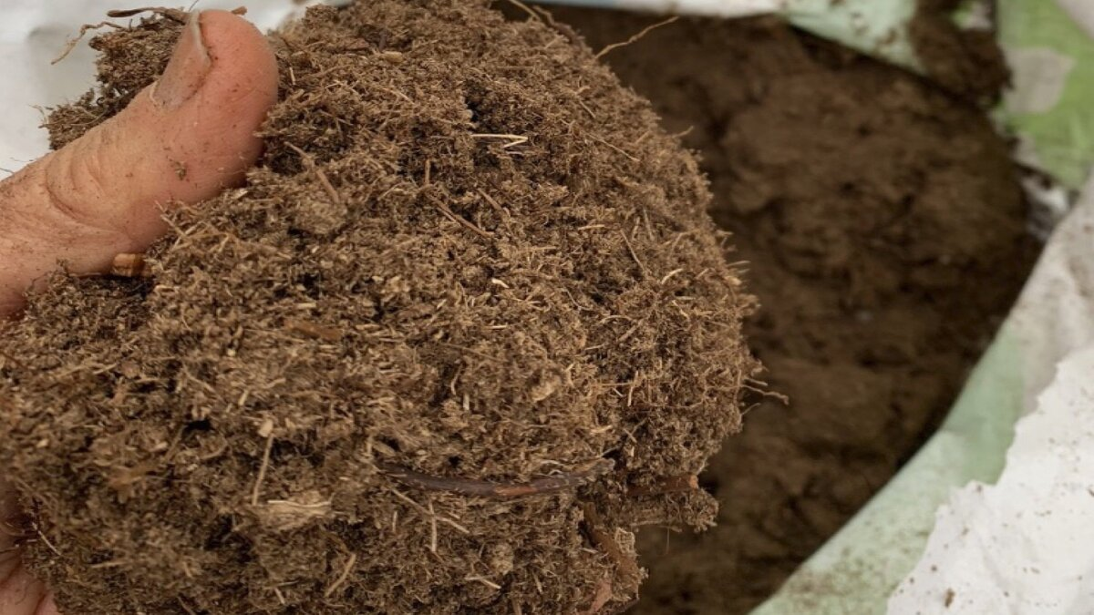 Incorporate peat moss