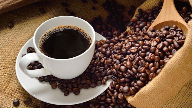 تعرف على أفضل 7 أنواع للقهوة وكيفية تحضيرها | محمصة كافالو