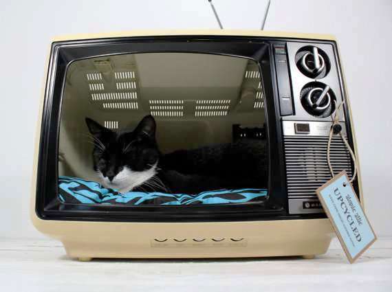 casa para gato en monitor de pc 01.jpeg