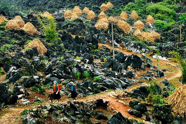 Kết quả hình ảnh cho đồng văn