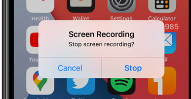 Press the Stop screen recording icon when you wish to stop