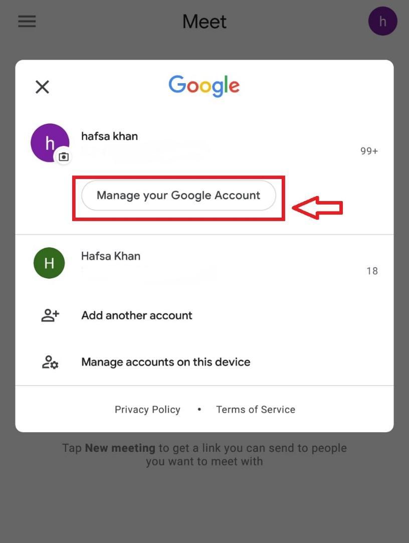 How to hide names on Google meet (And video) – ProduScriptions