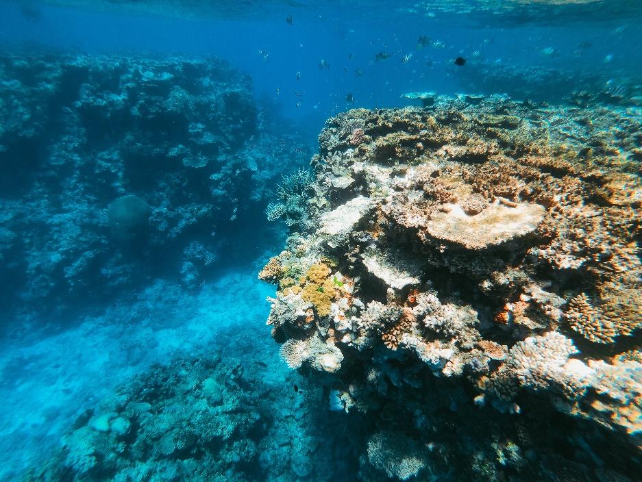 Great Barrier Reef