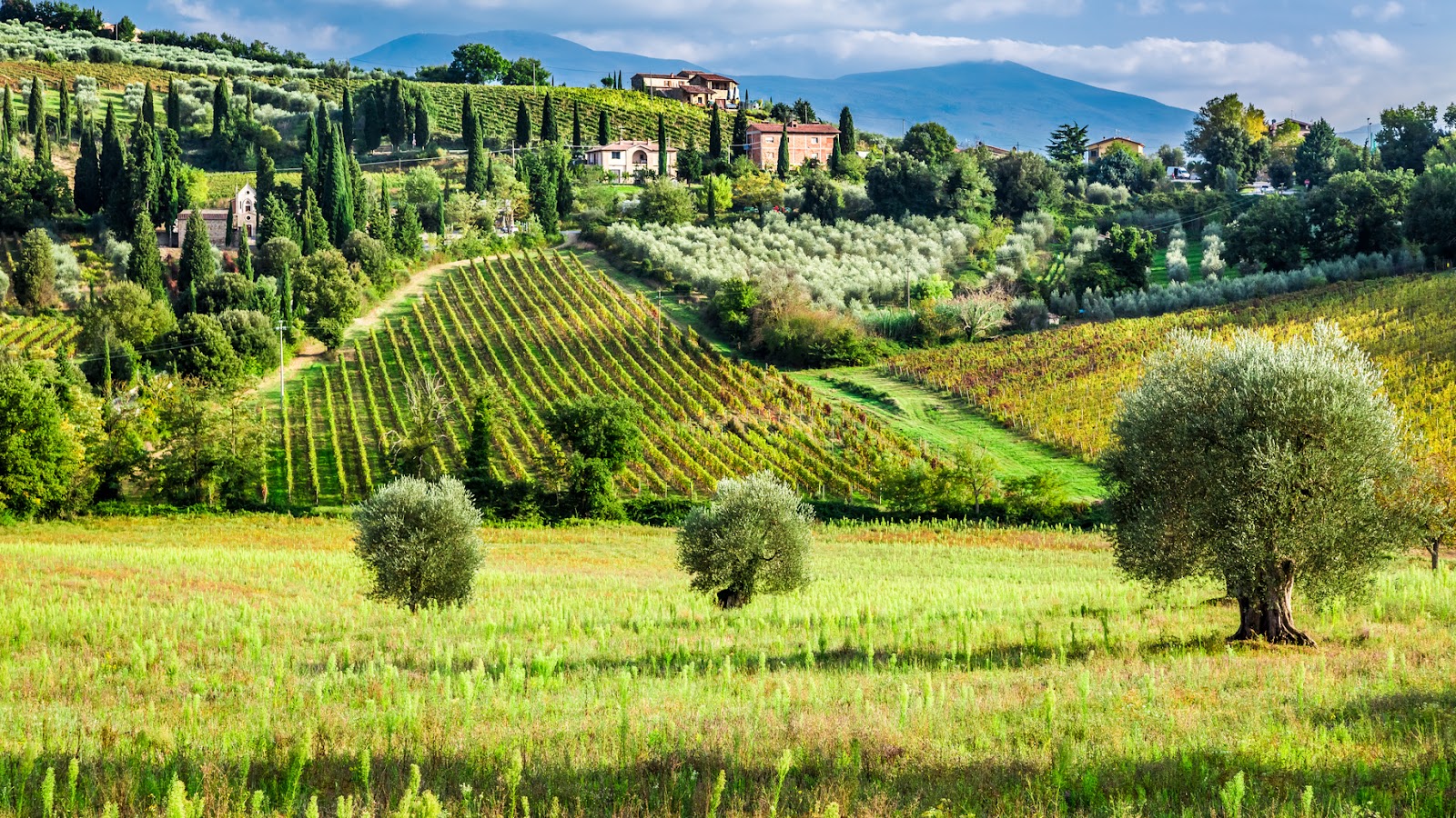 florence tuscany country.jpg