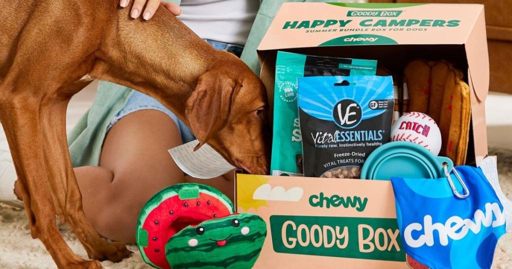 Score a Chewy Goody Box w/ Toys, Treats & More from $17.49 (Regularly $48)