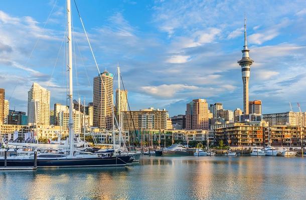 Auckland Attractions Everyone Should Experience.jpg